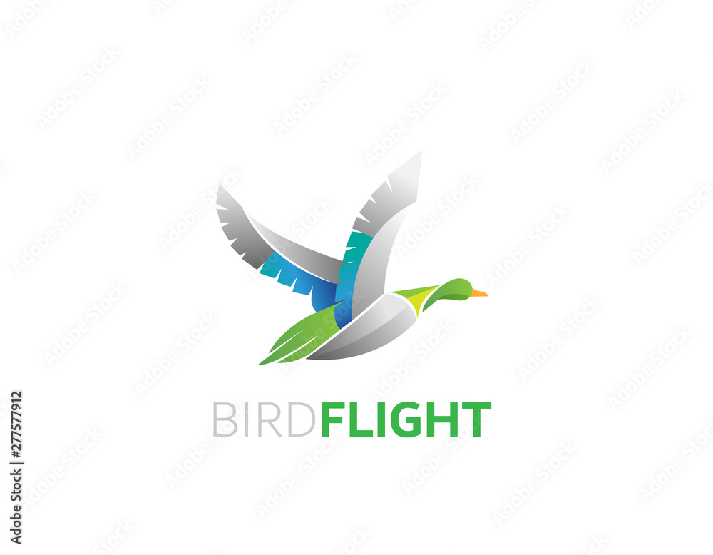 Fototapeta premium Bird flight logo