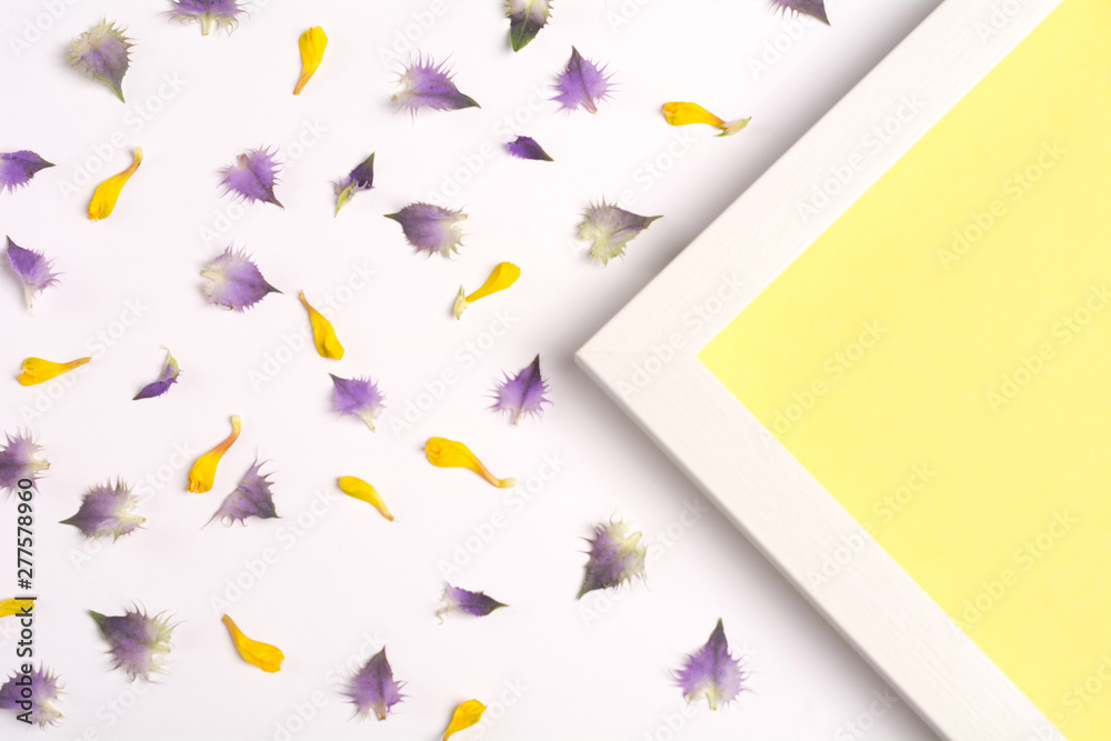 Yellow and violet petals and yellow triangle on a white background. Top view, copy space. Flat lay.