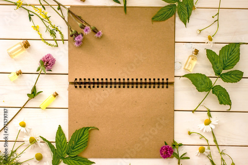 Background for creativity, top view. Brown paper notebook   with place for text on the background of a wooden light table, near the twigs of medicinal plants, wild flowers, chamomile, clover, raspberr photo