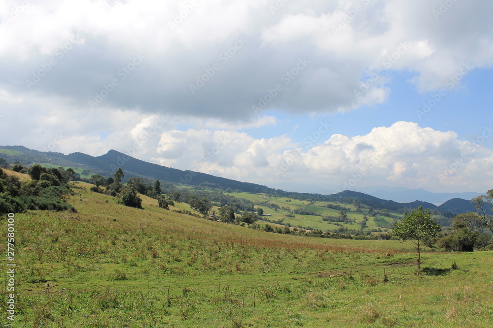 Fototapeta premium horizonte