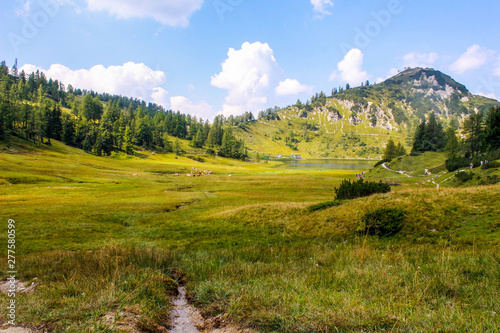 Amazing Austrian nature, traveling in nature