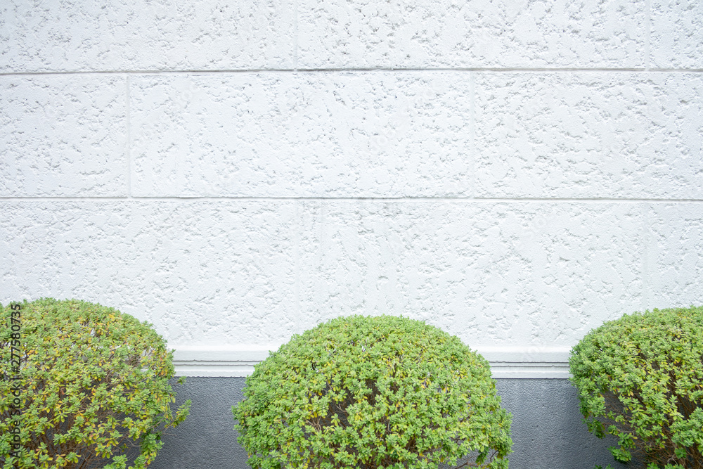 Fototapeta premium brick wall texture