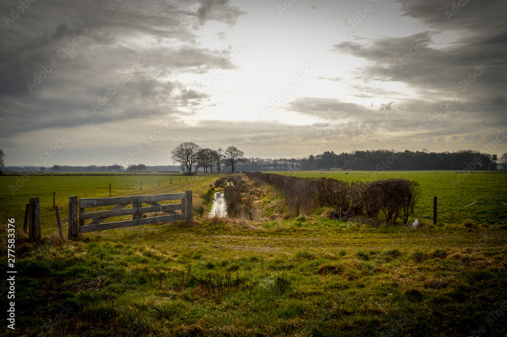 Fototapeta premium Dutch landscape