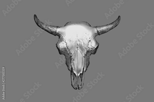 Pencil drawing of a bull's head on a gray background