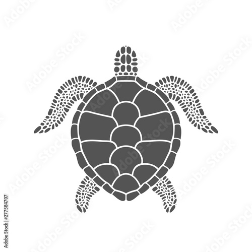 Sea turtle. Isolated turtle on white background. Reptile