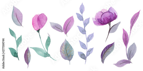 Beautiful watercolor set of hand drawn purple flowers and leaves. Can be used for invitation, greeting card, wedding, birthday cards. Isolated on white background