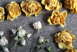 Dried flowers of roses of yellow and beige color. Stacked on rough linen fabric.