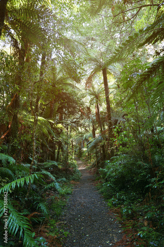 Walking trail