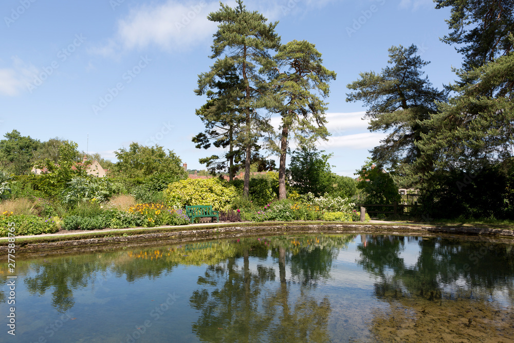 Obraz premium Pretty tranquil pond