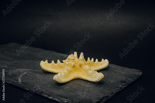 Starfish from the sea on a stone dark background. The concept of holidays and the import of souvenirs from the sea. Returning home from vacation. Sea shells isolated.