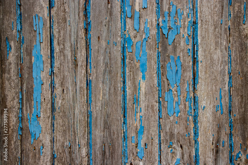 Rough blue wood peeled grunge texture