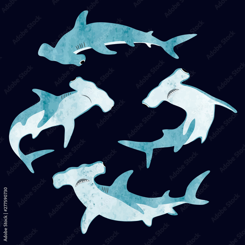 Watercolor hammerhead shark set. Vector illustration. - obrazy, fototapety, plakaty 