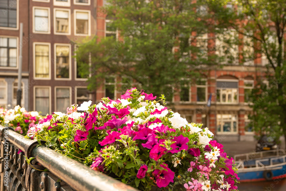 Flowers on a bridge over a canal in Amsterdam