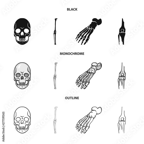 Isolated object of medicine and clinic icon. Set of medicine and medical vector icon for stock.