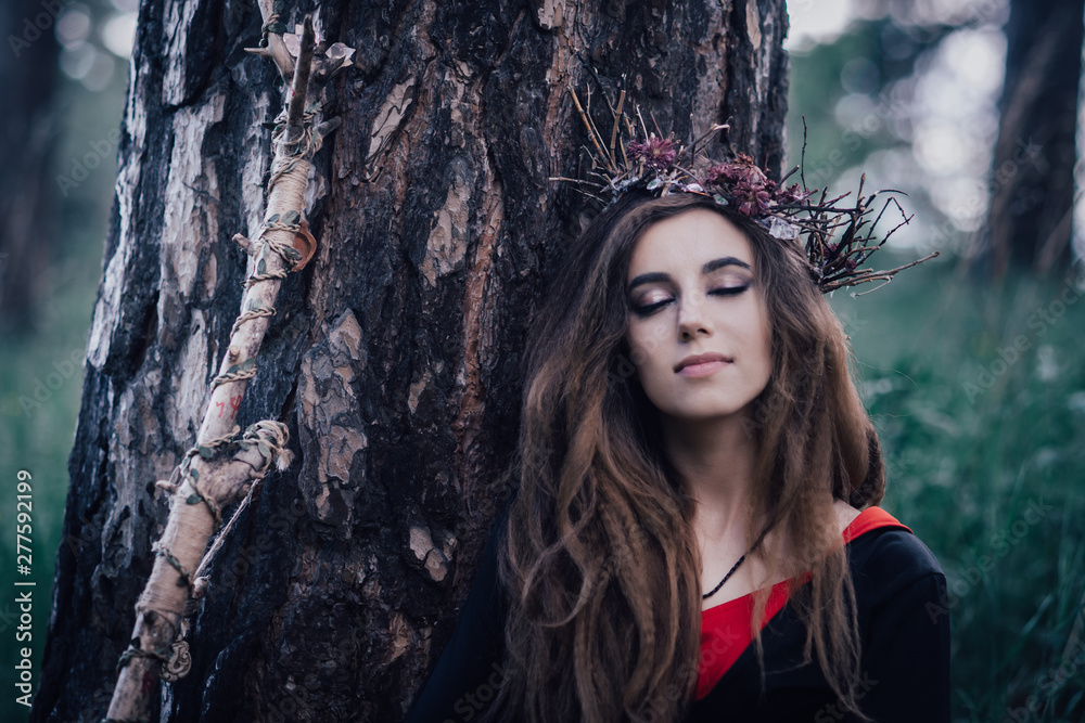 fairy tale witch in the forest fairy tale witch in the forest