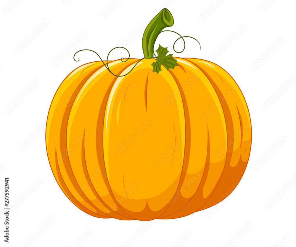 Figure pumpkin with tendrils and leaf on a white background Figure pumpkin with tendrils and leaf on a white background