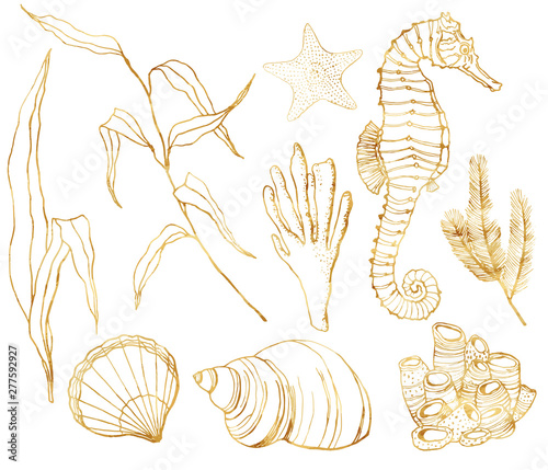 Vector line art underwater set. Hand painted watercolor seahorse, laminaria, corals and shells isolated on white background. Aquatic outline golden illustration for design, print or background.