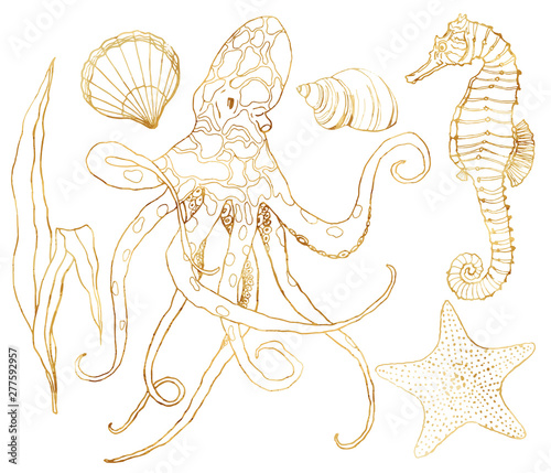 Vector set with underwater wildlife. Hand painted golden octopus, seahorse, starfish and shell isolated on white background. Aquatic line art illustration for design, print or background.