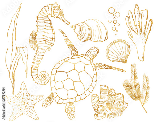 Vector set with underwater animals and coral reef plants. Hand painted golden turtle, seahorse, laminaria, coral and shell isolated on white background. Line art illustration for design, print.