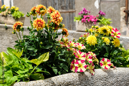 Fototapeta Naklejka Na Ścianę i Meble -  beautiful flower arrangement in flowerpots