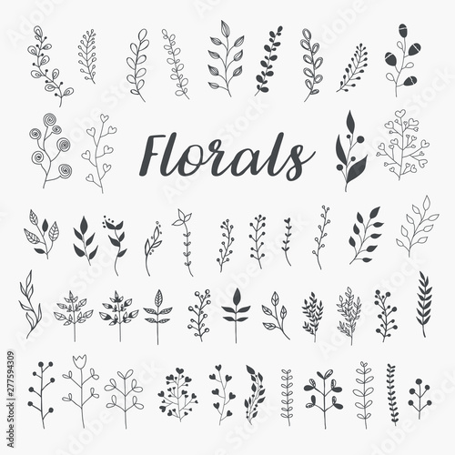 Collection of Hand Drawn Floral Elements. Vector Leaves and Herbs