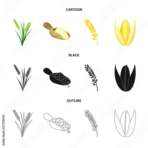 Vector illustration of crop and ecological sign. Set of crop and cooking stock symbol for web.