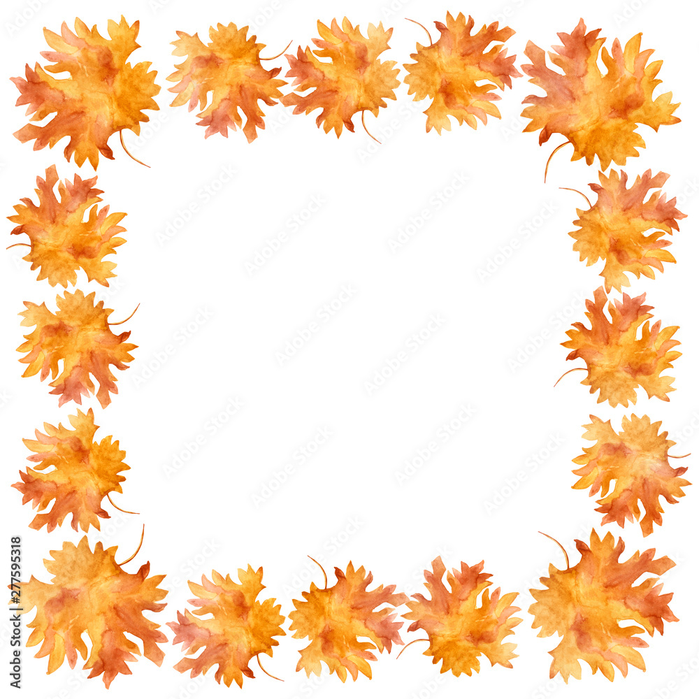 Watercolor to frame colorful autumn maple leaves in a round dance isolated on white background. Flower pattern for beautiful wedding invitation design, greeting cards.