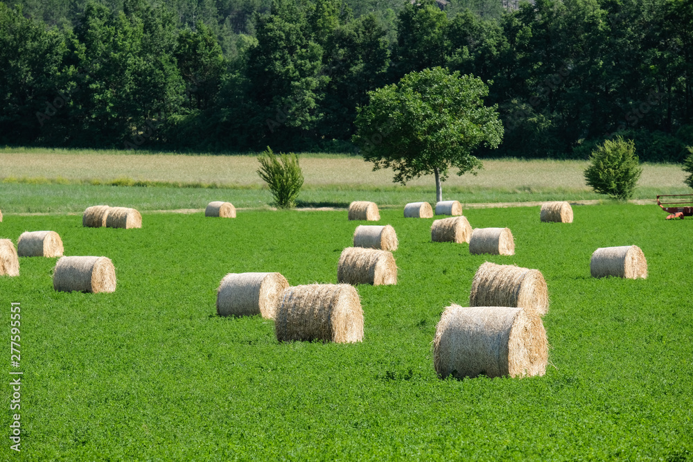 Hay Bale in a green field Hay Bale in a green field