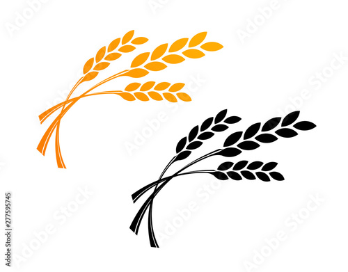 Agriculture wheat Logo Template. Vector icon design in golden and black