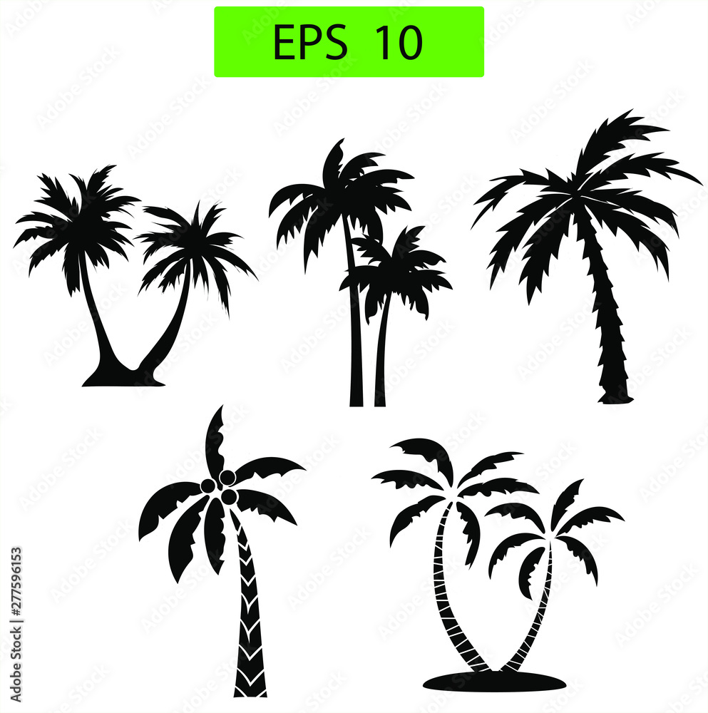 Palm trees isolated on transparent background