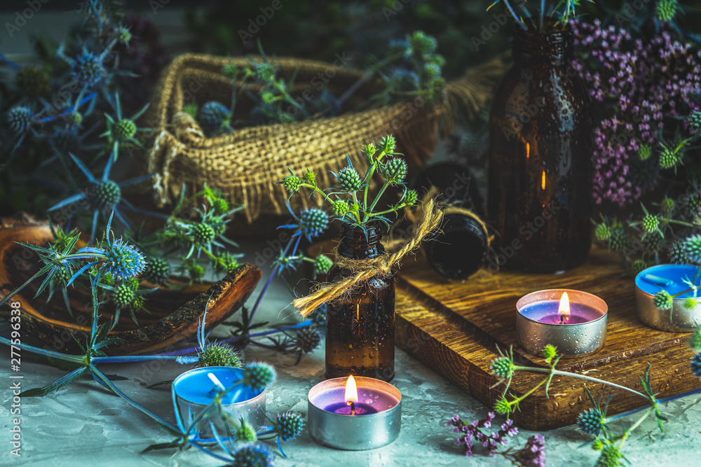 Fototapeta premium Old pharmacy, esoteric or alchemic concept with blue eryngo