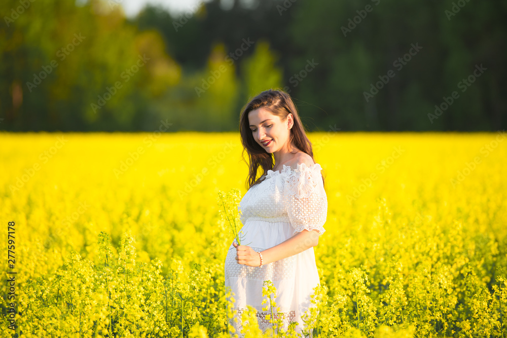 Pregnancy in his youth. Young beautiful pregnant woman, pregnancy is in its prime when it is full of desire Pregnancy in his youth. Young beautiful pregnant woman, pregnancy is in its prime when it is full of desire