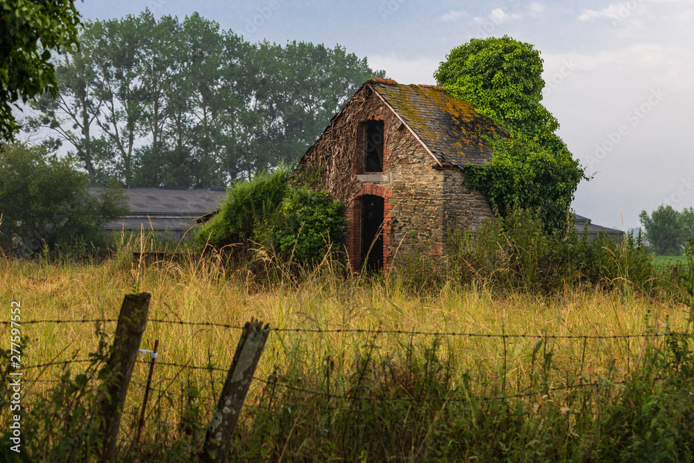Obraz premium old shed with tree