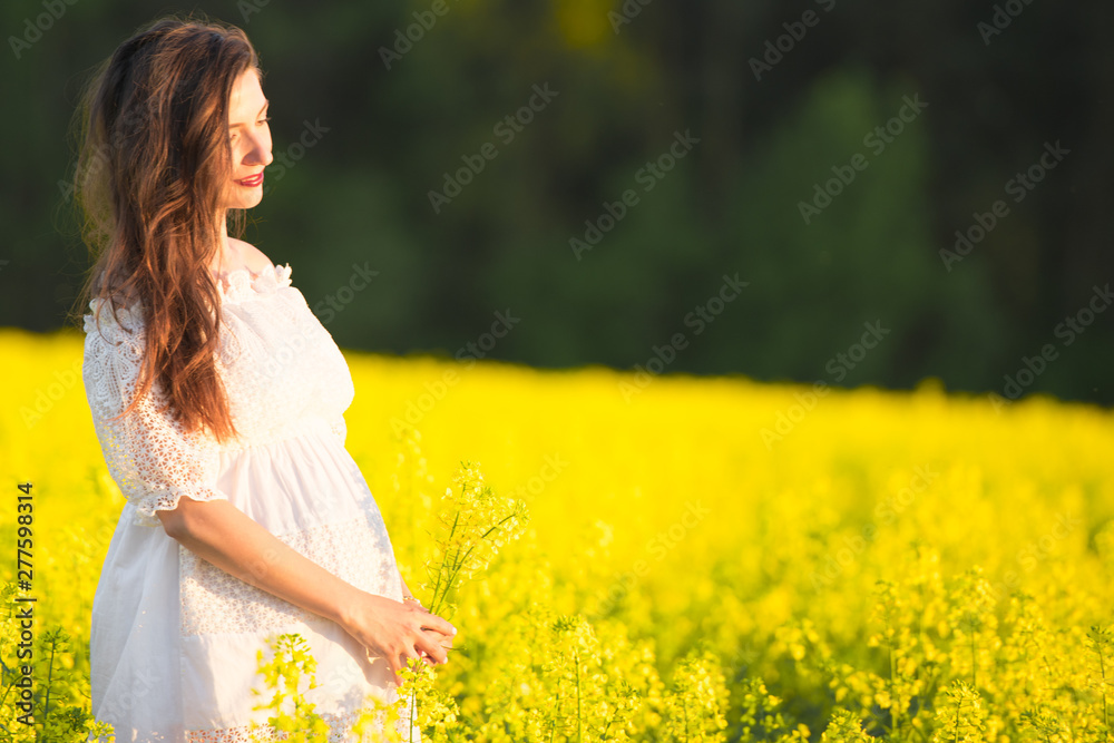 pregnant girl in a white dress. Outdoor natural portrait of beautiful pregnant woman in white dress pregnant girl in a white dress. Outdoor natural portrait of beautiful pregnant woman in white dress