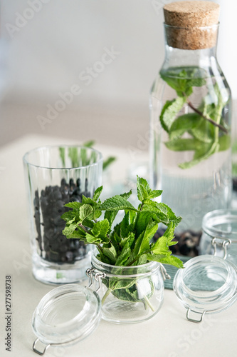 Ingredients for infused water fresh mint leaves and black currant berries in a glass