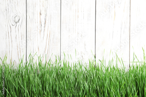 Fresh green grass near white wooden fence. Space for text