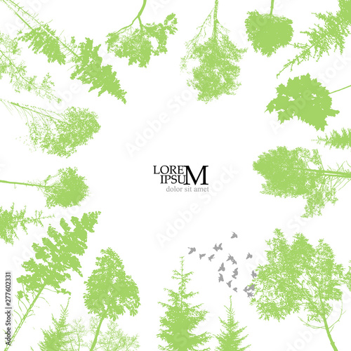 The frame silhouettes of trees. Vector illustration
