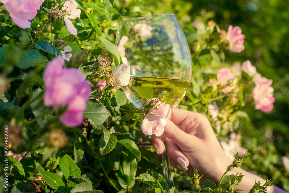Wine glass in nature