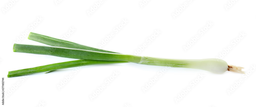 Fresh ripe green onion on white background Fresh ripe green onion on white background