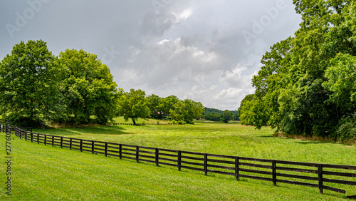 Farm at Leipers Fork in Tennessee - travel photography photo