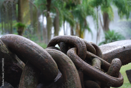 large chain link between trees photo