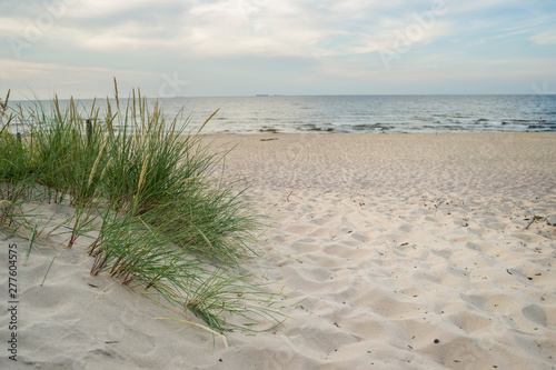 Fototapeta Naklejka Na Ścianę i Meble -  Plaża trawa i Morze Bałtyckie