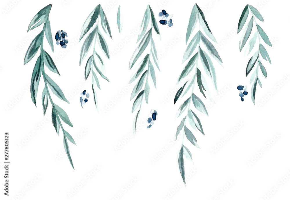 Obraz premium Green branches and leaves