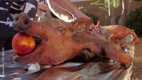 Man cutting the skin on a whole roasted pig. Chef using a knife to butcher an entire suckling pig with an apple in its mouth. Low angle of hog roast represents summer bbqs and farm to table lifestyles