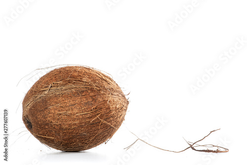 Coconut on white background, with copy space for text