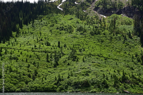 Green Mountain Dramatic Large Trees Park  Spring