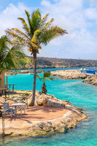 tropical beach with palm trees