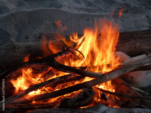 wood fire on the beach