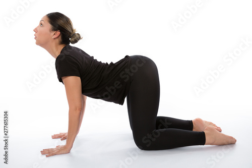 Bitilasana pose (Cow pose yoga). Yoga poses woman isolated with white background. Yoga pose set. Mindfulness and Spiritually concept. Girl practicing Hatha Yoga asanas