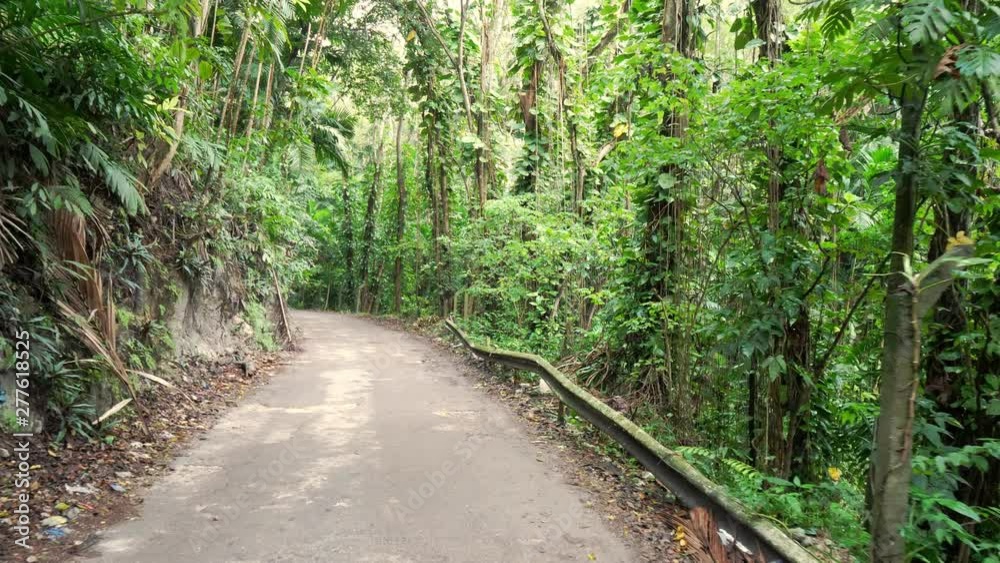Slow motion walking down a curved road in Ocho Rios with trash littering side of road and damaged guard rail on other on tropical island of Jamaica with lush green foliage, trees and vines. Slow motion walking down a curved road in Ocho Rios with trash littering side of road and damaged guard rail on other on tropical island of Jamaica with lush green foliage, trees and vines.